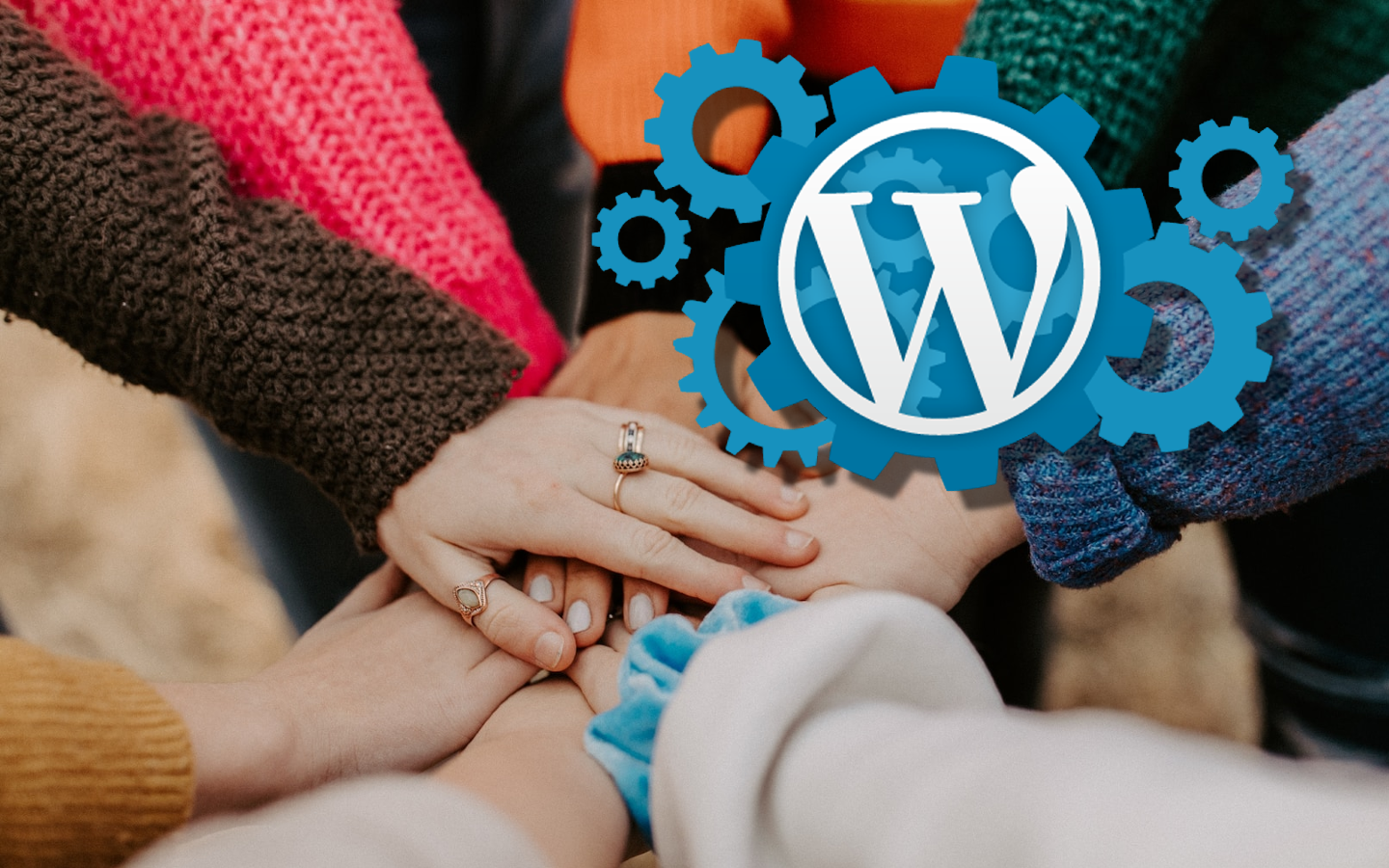 10 Best WordPress Community Plugins Compared (Free and Paid) - RSS in Affiliate Marketing