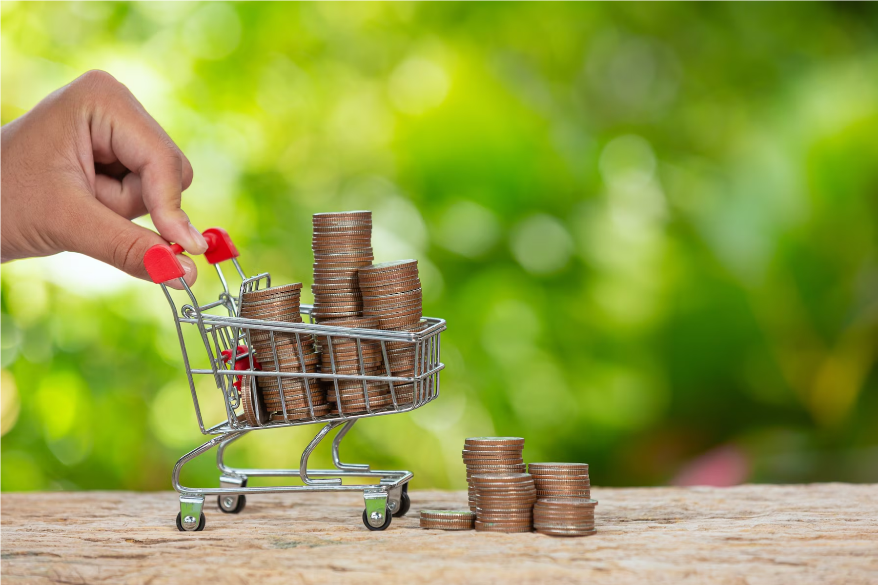 How Much Does a Shopping Cart Cost? 2024 Prediction Stats, Pricing & Cost Data -